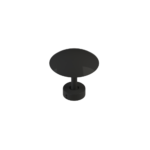 Fungi
